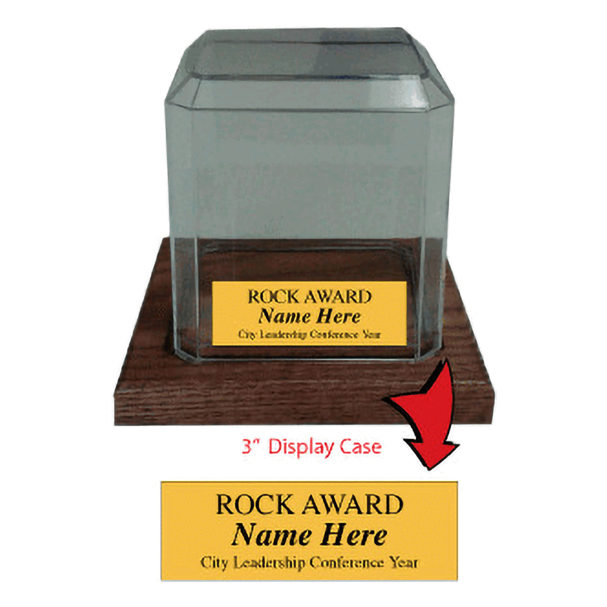 Custom Display Case (Rock Award)