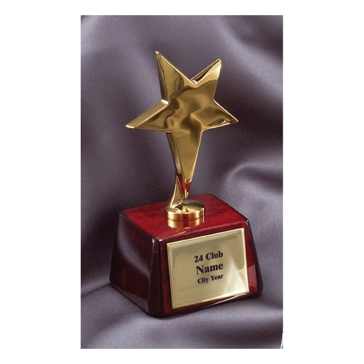 Custom Gold Star (24 Club Award)
